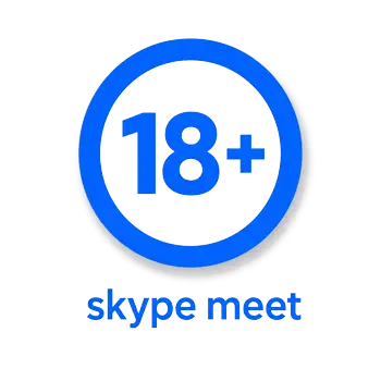SKYPE MEETのオンラインチャット